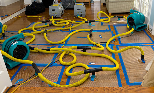 Professional Sewage Cleanup technician working in Luck, WI